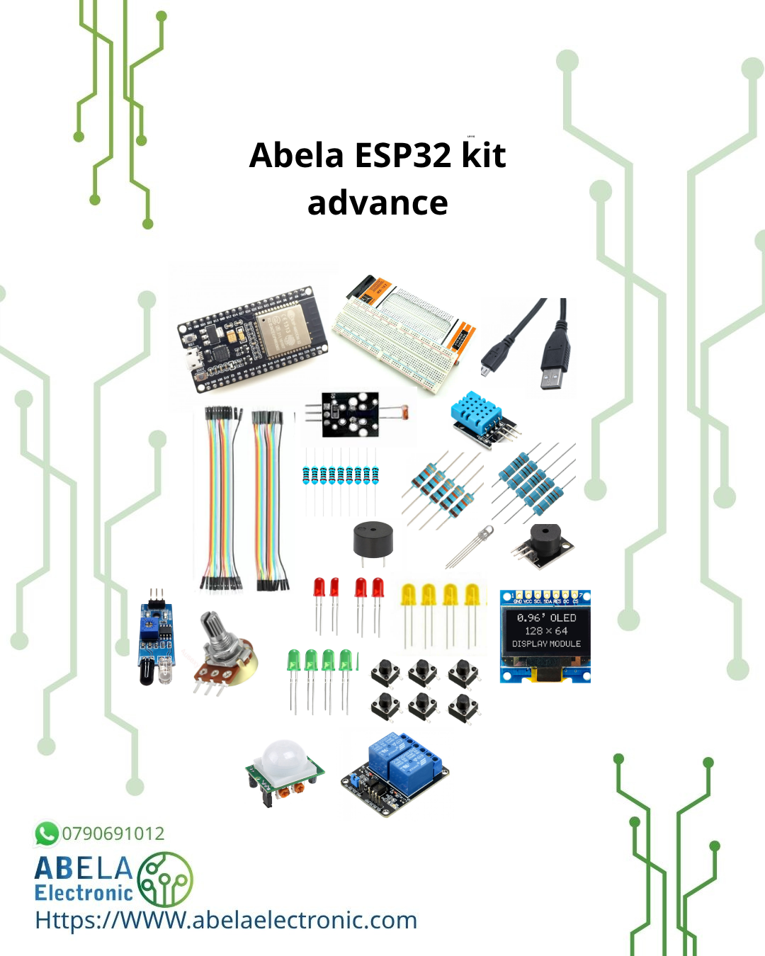 Abela ESP32 kit advance